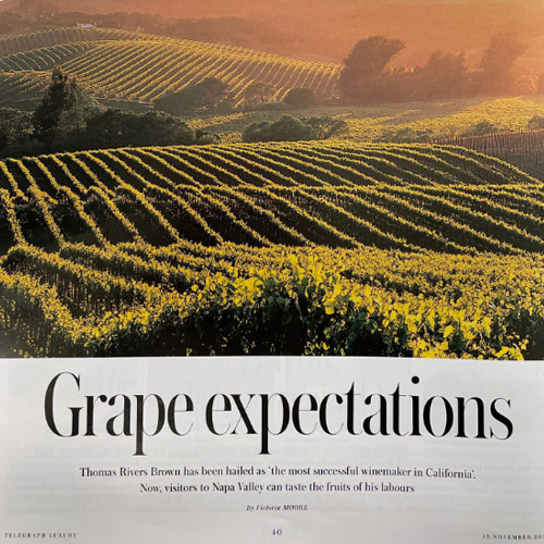 TELEGRAPH LUXURY | Grape expectations